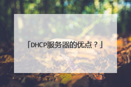 DHCP服务器的优点？
