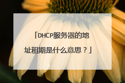 DHCP服务器的地址租期是什么意思？