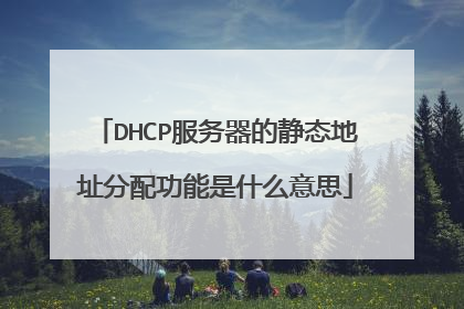 DHCP服务器的静态地址分配功能是什么意思
