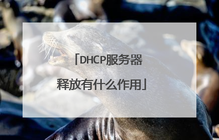 DHCP服务器释放有什么作用