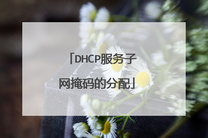 DHCP服务子网掩码的分配