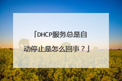 DHCP服务总是自动停止是怎么回事？
