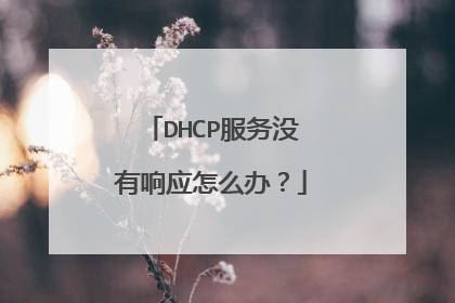 DHCP服务没有响应怎么办?