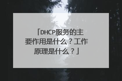 DHCP服务的主要作用是什么？工作原理是什么？