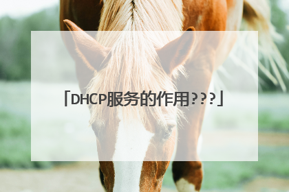 DHCP服务的作用???