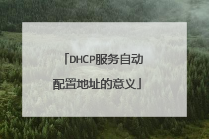 DHCP服务自动配置地址的意义