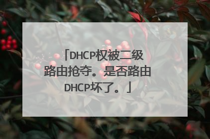 DHCP权被二级路由抢夺。是否路由DHCP坏了。