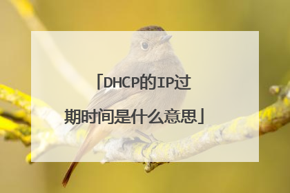 DHCP的IP过期时间是什么意思