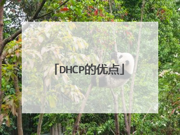 DHCP的优点