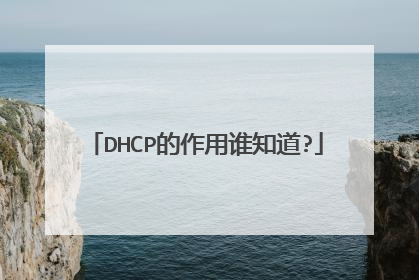 DHCP的作用谁知道?