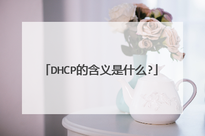 DHCP的含义是什么?