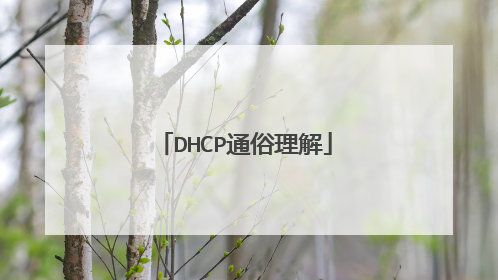DHCP通俗理解