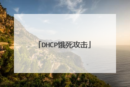 DHCP饿死攻击