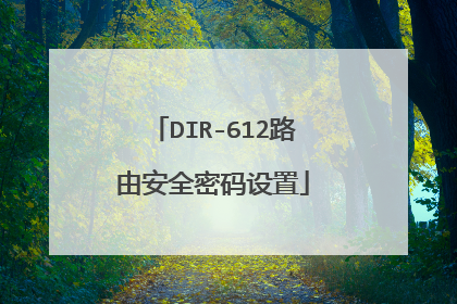 DIR-612路由安全密码设置