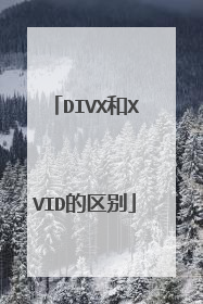 DIVX和XVID的区别
