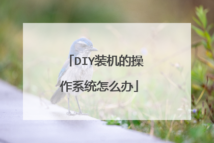 DIY装机的操作系统怎么办