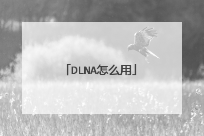 DLNA怎么用