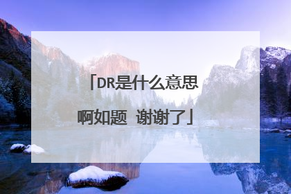 DR是什么意思啊如题 谢谢了
