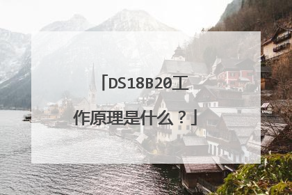 DS18B20工作原理是什么?