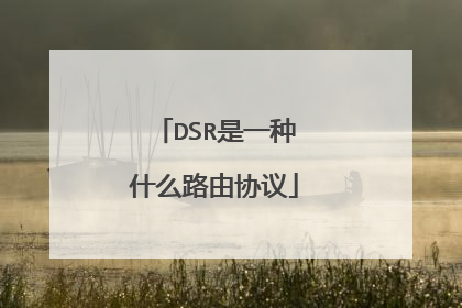 DSR是一种什么路由协议
