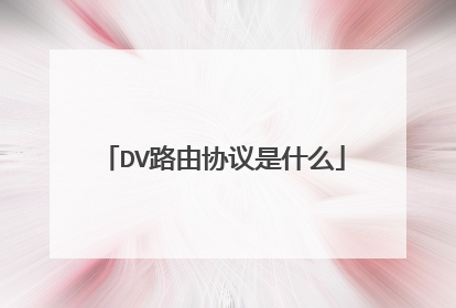 DV路由协议是什么