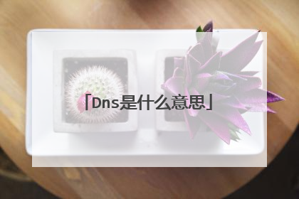 Dns是什么意思