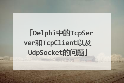 Delphi中的TcpServer和TcpClient以及UdpSocket的问题