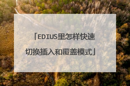 EDIUS里怎样快速切换插入和覆盖模式