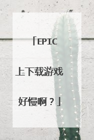 EPIC上下载游戏好慢啊?
