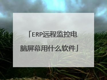 ERP远程监控电脑屏幕用什么软件