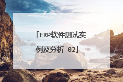 ERP软件测试实例及分析-02