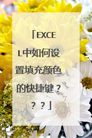 EXCEL中如何设置填充颜色的快捷键？？？