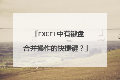 EXCEL中有键盘合并操作的快捷键?