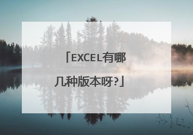 EXCEL有哪几种版本呀?