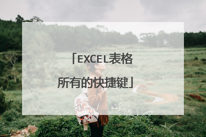 EXCEL表格所有的快捷键