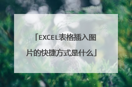 EXCEL表格插入图片的快捷方式是什么