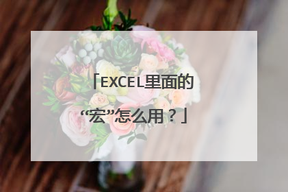 EXCEL里面的“宏”怎么用？