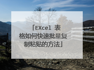 EXcel 表格如何快速批量复制粘贴的方法