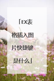 EX表格插入图片快捷键是什么
