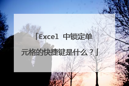 Excel 中锁定单元格的快捷键是什么?
