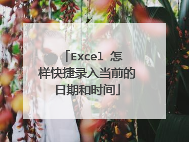 Excel 怎样快捷录入当前的日期和时间