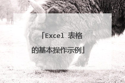 Excel 表格的基本操作示例