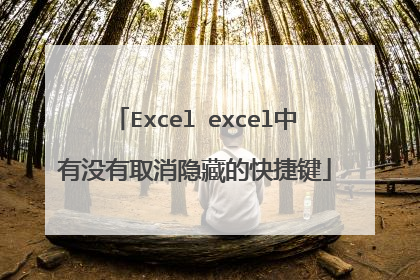 Excel excel中有没有取消隐藏的快捷键