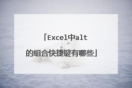 Excel中alt的组合快捷键有哪些