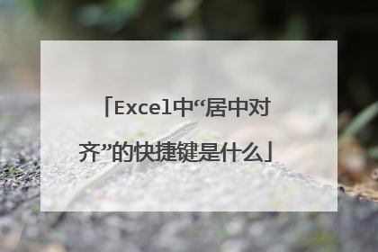 Excel中“居中对齐”的快捷键是什么