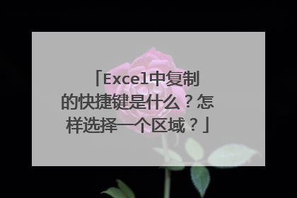 Excel中复制的快捷键是什么？怎样选择一个区域？