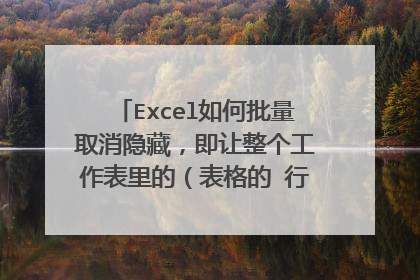 Excel如何批量取消隐藏，即让整个工作表里的（表格的 行列）取消隐藏
