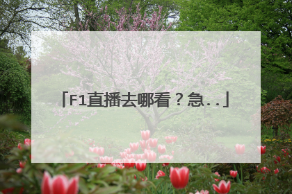 F1直播去哪看？急..