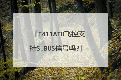 F411AIO飞控支持S.BUS信号吗?