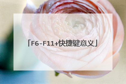 F6-F11+快捷键意义